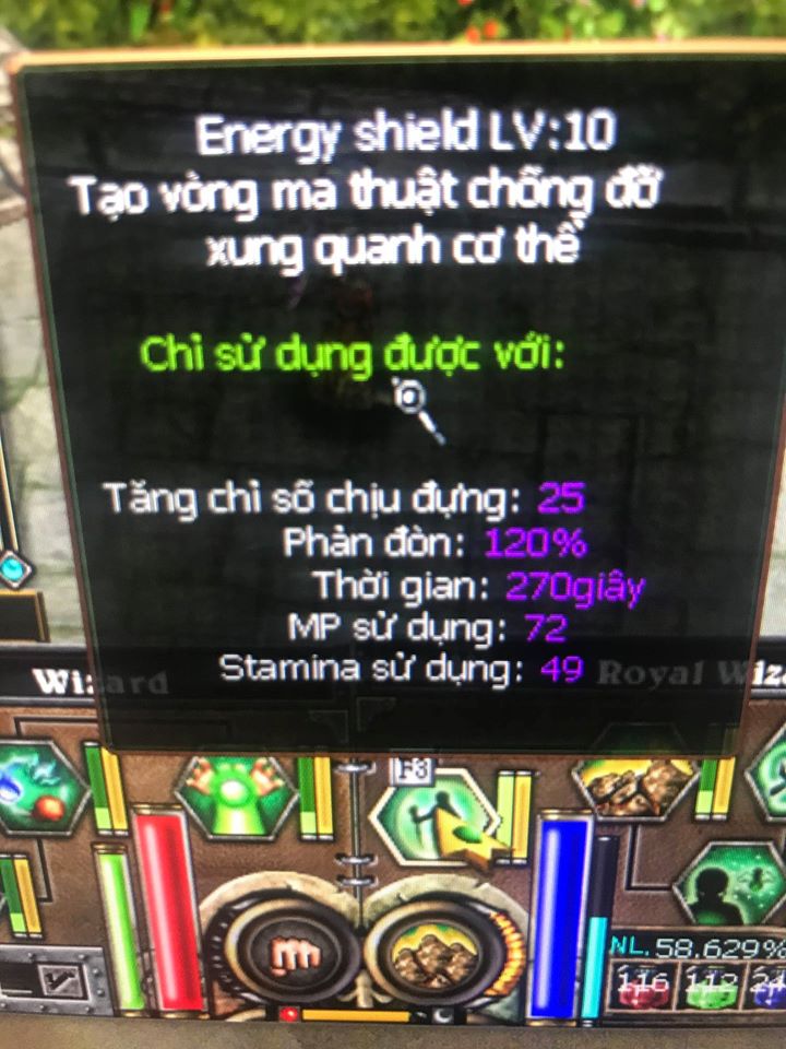 mg